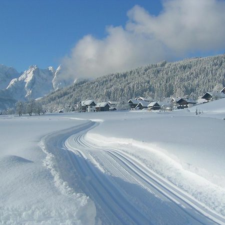 Privatzimmer Anneliese Hotel Gosau Eksteriør billede