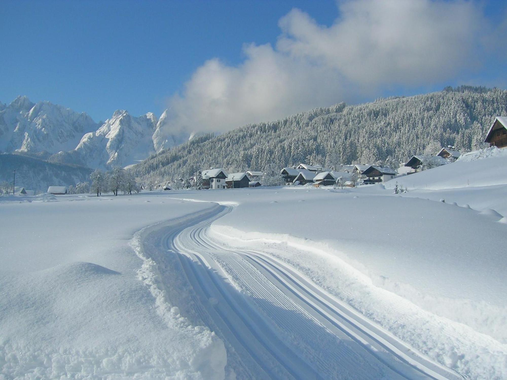Privatzimmer Anneliese Hotel Gosau Eksteriør billede