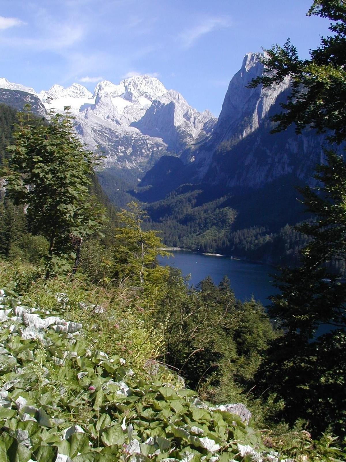 Privatzimmer Anneliese Hotel Gosau Eksteriør billede